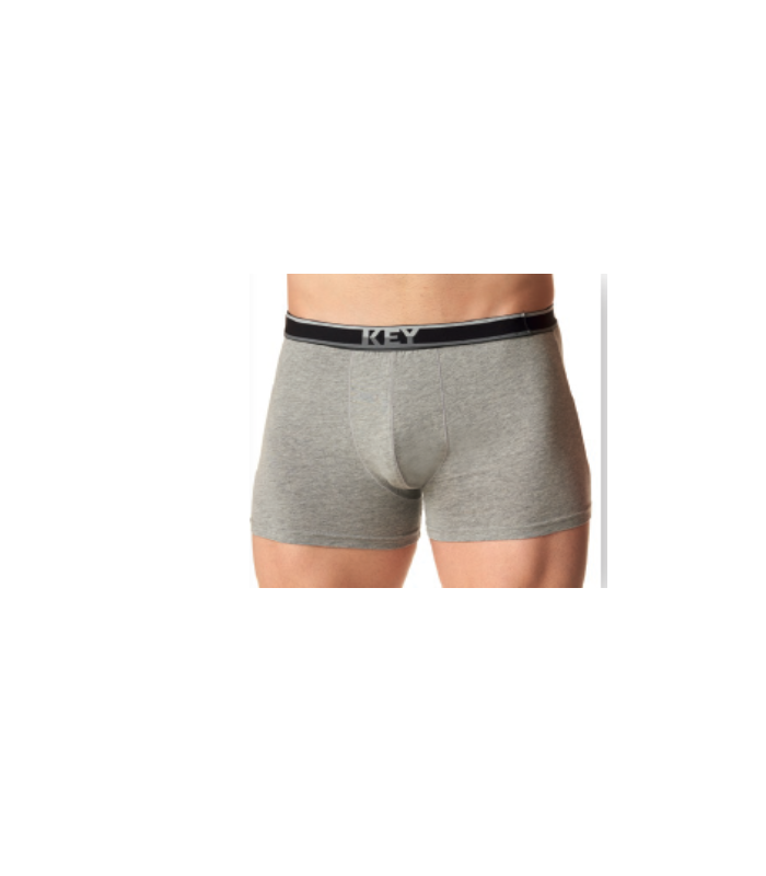 Bokserki męskie KEY MXH 261 Szary