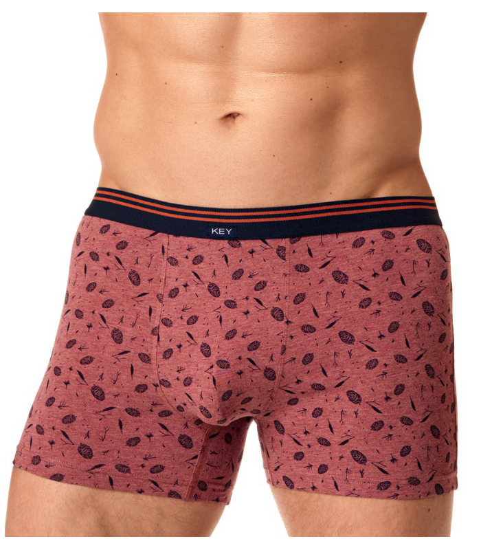 Bokserki męskie KEY MXH 512 Cedar